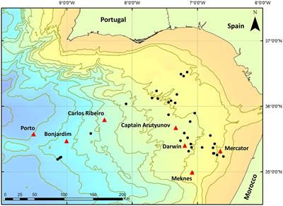 Methanogen activity and microbial diversity in Gulf of Cádiz mud volcano sediments
